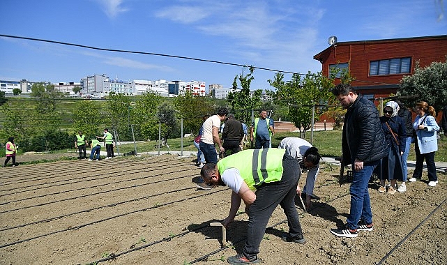 Beylikdüzü Belediyesi “Yaşam Bahçesi” projesiyle, hem tarımsal üretime, hem de