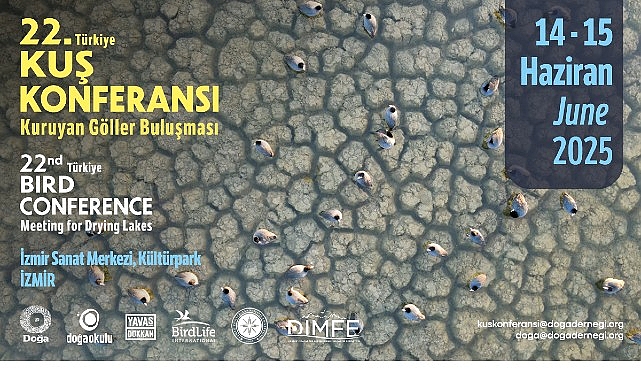 Dünya yüzeyinin yalnızca yüzde 6’sını kaplayan sulak alanlar; turbalıklardan deltalara,
