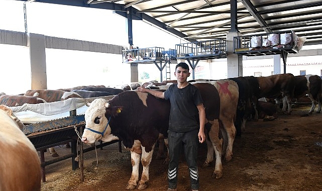 Osmangazi Belediye Başkanı Erkan Aydın, Veysel Karani Mahallesi’nde bulunan Modern