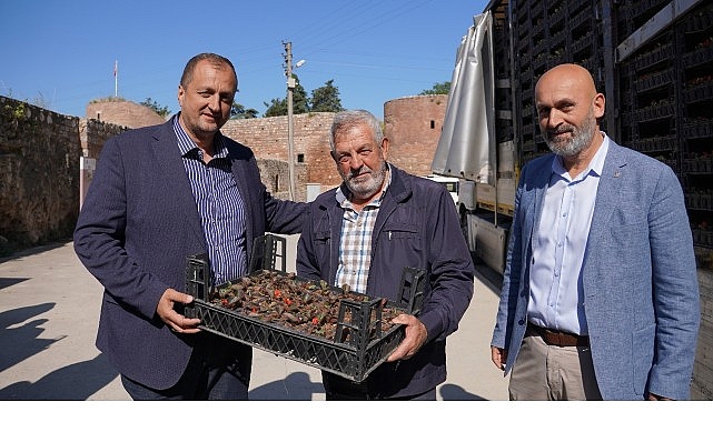 İznik Belediyesi Kurban Bayramı vesilesiyle 100 bin kök çiçeği vatandaşla