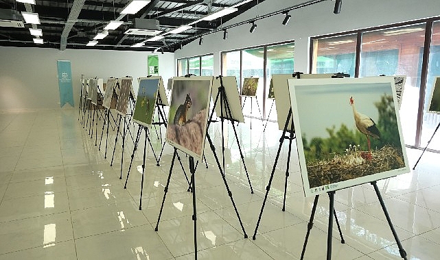 Türkiye’nin doğal güzelliklerini yansıtan “Türkiye’nin Doğası” temalı fotoğraf sergisi, Büyükşehir’in