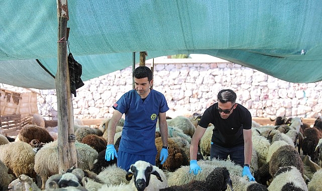 Kurban Bayramı yaklaşırken Buca Belediyesi, vatandaşların ibadetlerini hijyenik ve güvenli