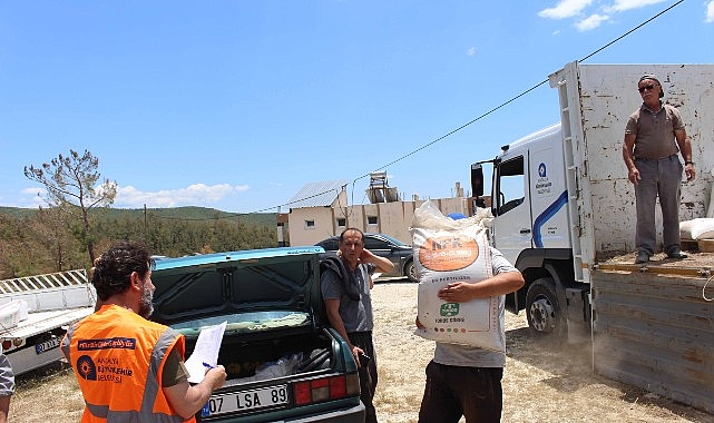 Antalya Büyükşehir Belediyesi geçtiğimiz aylarda yaşanan dolu afeti nedeniyle zarar