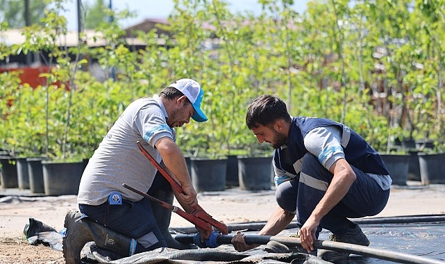 Büyükşehir Belediyesi, çevreye ve yeşil alanlara verdiği önemi sürdürülebilir üretim