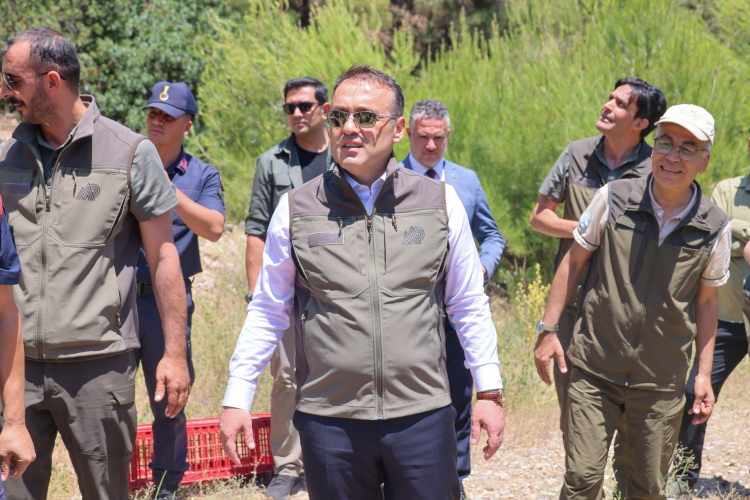 dogal-yasam-icin-300-kinali-keklik-bilecikte-dogaya-salindi
