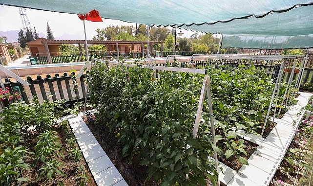 Antalya Büyükşehir Belediyesi tarafından düzenlenen Daha Yeşil Antalya İçin En