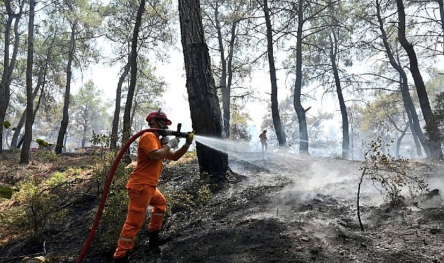 Türkiye, yaz aylarına yine yangın alarmıyla girdi. Özellikle tarım faaliyetlerinin