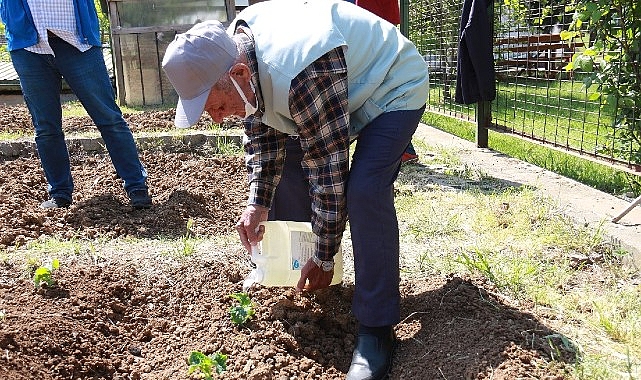 İBB, 2022 yılında başlattığı ‘Halk Bostanları’ projesine devam ediyor. İstanbullular