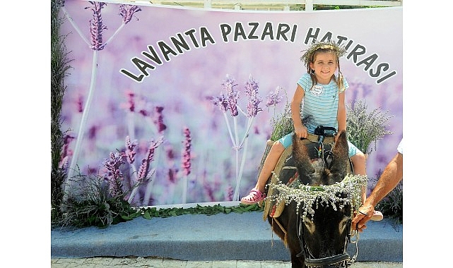 Seferihisar Belediyesi tarafından bu yıl 10.’su düzenlenecek olan Lavanta Hasat