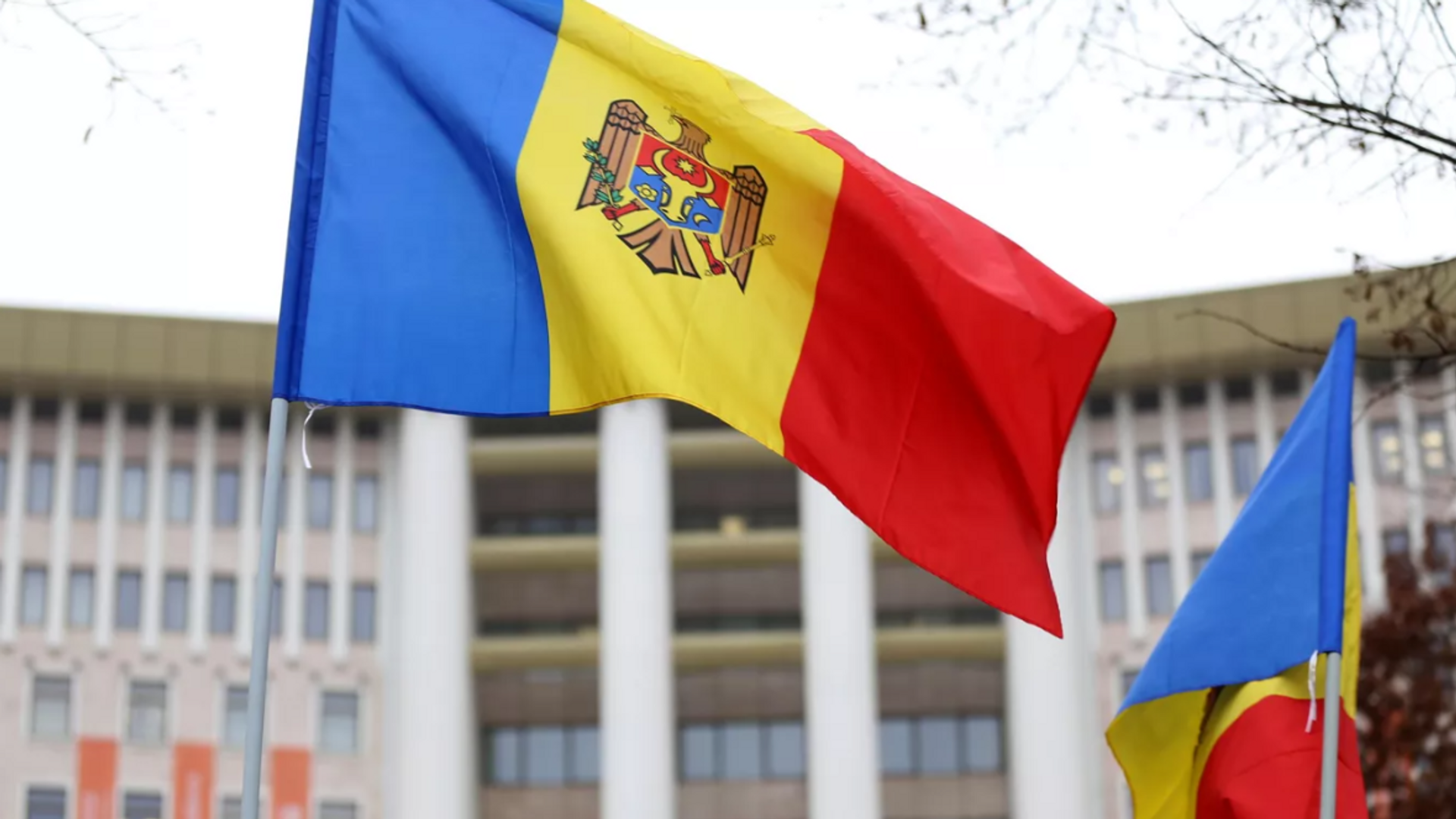 Moldova Parlamentosu'nda muhalefetteki 'Zafer' bloğunu temsil eden milletvekili Bolya, ülkede