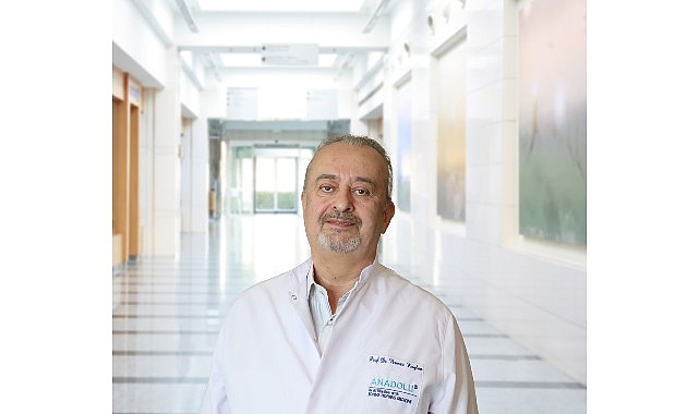 Oksijen ve besin içeren kanı, vücuttaki tüm sistem ve organlara
