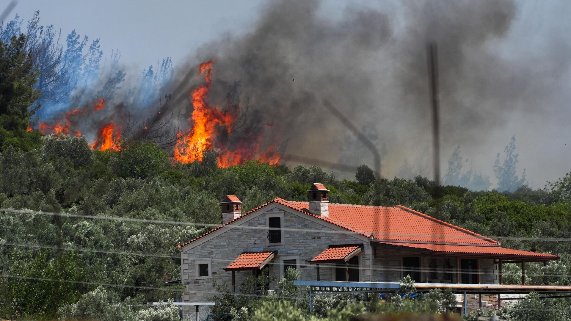Türkiye’yi sarsan orman yangınları nedeniyle Sakarya’dan İzmir’e kadar birçok ilde