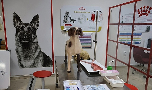 Uludağ Üniversitesi Veteriner Fakültesi ve Royal Canin Türkiye iş birliğiyle