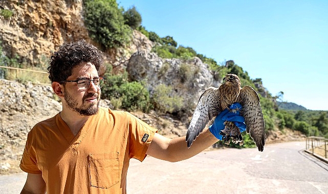 Antalya’da Doğal Yaşam Parkı’na getirilen, aralarında beş yavrunun da bulunduğu