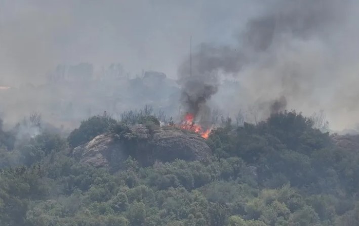 İzmir İtfaiyesi, Menderes ve Seferihisar Yangınlarına Günlerdir Kesintisiz Müdahale Ediyor.