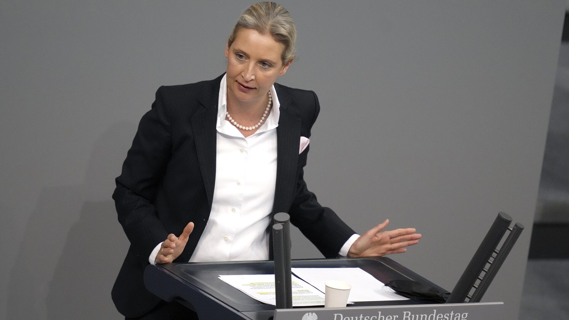 Almanya için Alternatif Partisi (AfD) Eş Başkanı Weidel, Alman vatandaşların