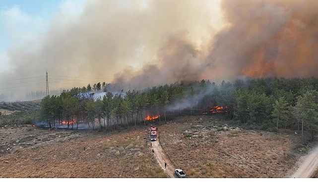 Havaların sıcak ve kurak olduğu Antalya’da 4 farklı noktada orman
