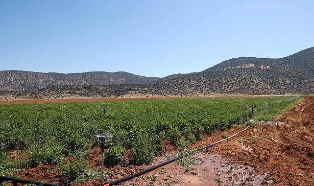 Antalya Büyükşehir Belediyesi, susuzluk nedeniyle tarım yapılamayan ve yoğun göç