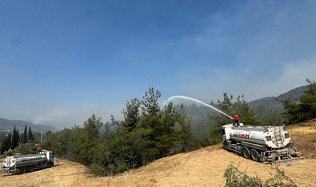 Büyükşehir Belediyesi’ne bağlı A Takımı, Sakarya ile Bilecik arasındaki orman