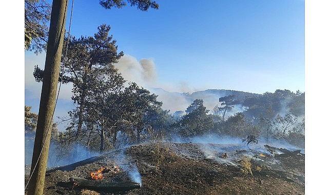Manisa’nın Akhisar ilçesine bağlı Kocakağan Mahallesi’nde dün başlayan orman yangını,