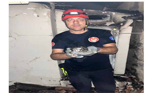 İzmir Büyükşehir Belediyesi İtfaiye Dairesi Başkanlığı ekipleri, kırsal ve kentsel