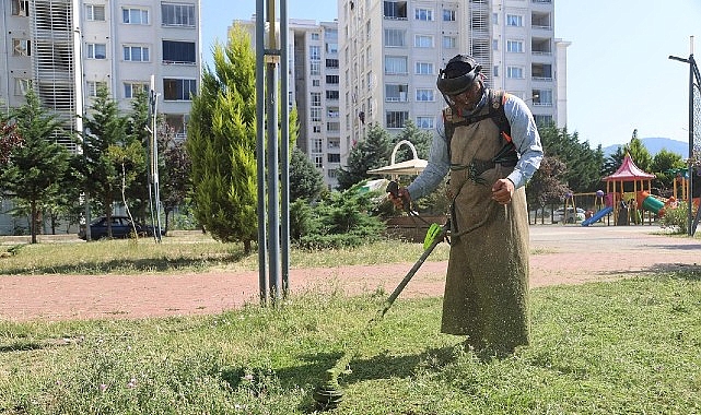 Canik Belediyesi, ilçedeki parklarda temizlik, bakım ve peyzaj alanları düzenleme