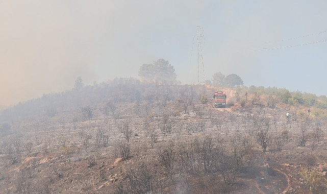 Kocaeli Büyükşehir Belediyesi İtfaiyesi, orman yangınlarına karşı vatandaşları dikkatli olmaya