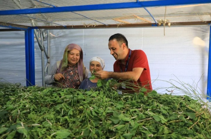 Muğla Büyükşehir Belediyesi, ilin geleneksel tarımsal faaliyetlerinden biri olan ipekböcekçiliğini