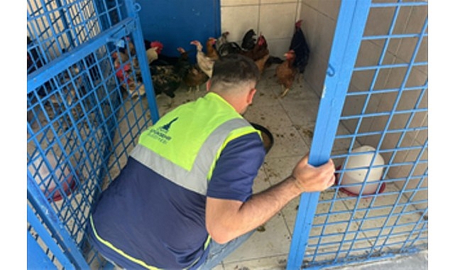 İzmir’de günlerdir süren orman ve ot yangınları, birçok yurttaşı etkiledi.