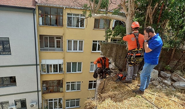 Kocaeli Büyükşehir Belediyesi, İzmit Akçakoca Mahallesi’nde can ve mal güvenliğini