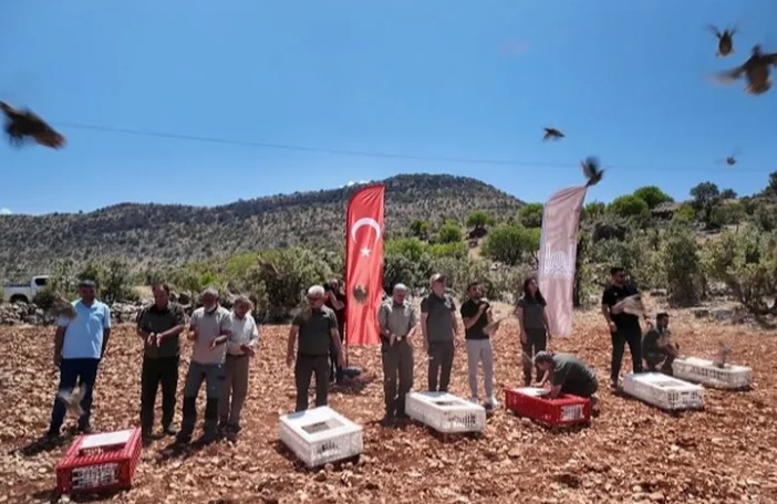 Büyükşehir Belediyesi, kırsal alanlarda yaban hayatını desteklemek ve doğal zararlılarla
