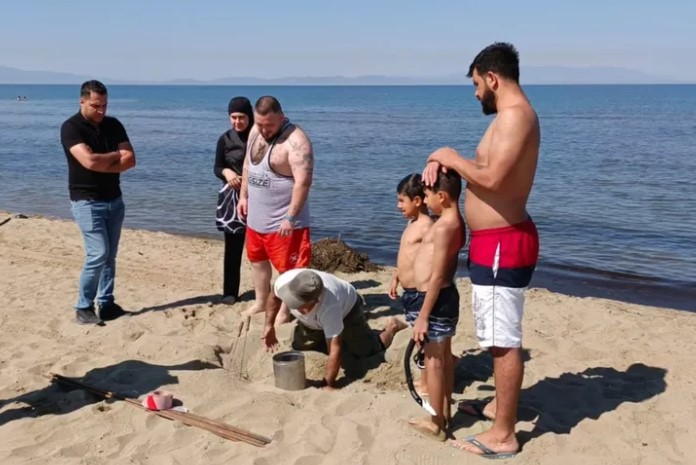8 Temmuz gecesi Pamucak Sahili’nde görünen, iri deniz kaplumbağası olarak