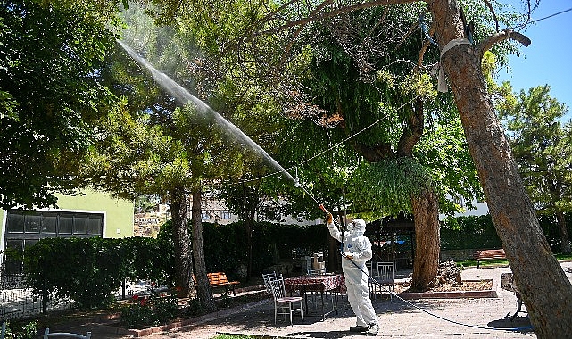 Selçuklu Belediyesi Park ve Bahçeler Müdürlüğü ekipleri Selçuklu sınırları içersinde