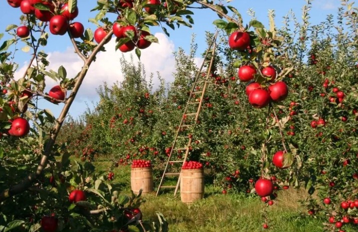 Tarım ve Orman Bakanlığı, 14 Eylül 2023 tarihli ve 32309
