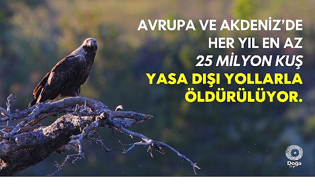 Raporda, 47 ülkede 930’dan fazla tür üzerinde yapılan veriye dayalı