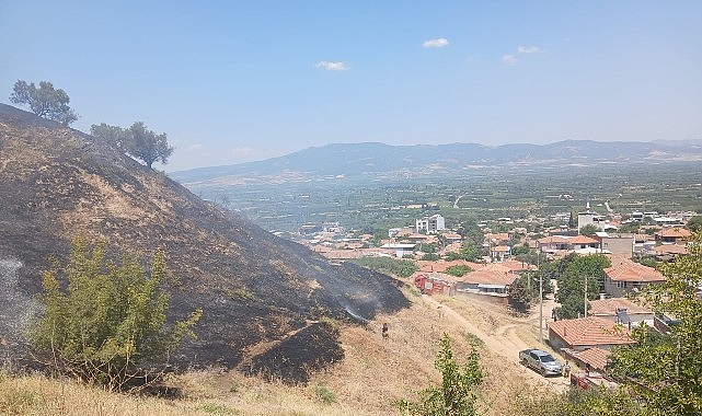 Manisa’nın Turgutlu ilçesi Derbent Mahallesi’nde yerleşim yerlerine yakın bölgede çıkan