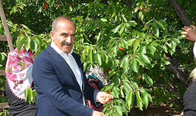 Türkiye’nin dünya birincisi olduğu kirazı bu yıl Mart ve Nisan