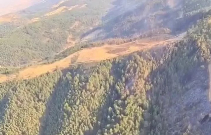 Orman Genel Müdürlüğü, Uşak ve Bilecik’te orman dışı alanlarda çıkan