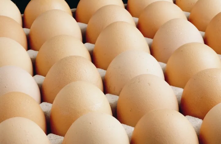 Tarım ve Orman Bakanlığı, Türk Gıda Kodeksi Yumurta Tebliği’nde yapılan