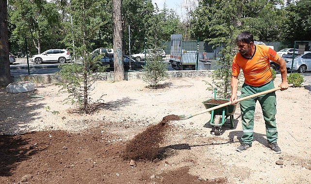 Çankaya Belediyesi, ilçe genelindeki parklarda bakım ve onarım çalışmalarını sürdürüyor.