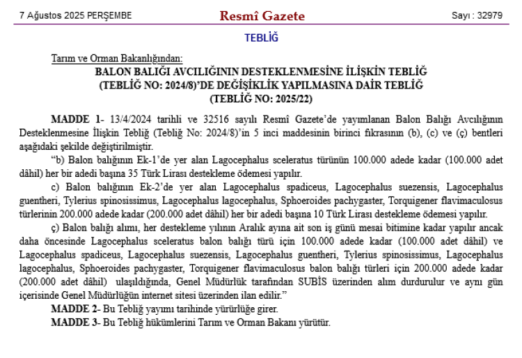 balon-baligi-avciligina-yeni-tesvik-odemeler-yukseliyor