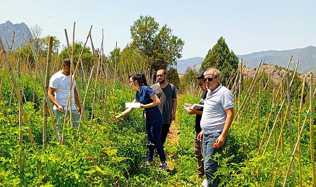 Çankaya Belediyesi, vatandaşların güvenilir ve sağlıklı ürünlere ulaşabilmesi için Ayrancı