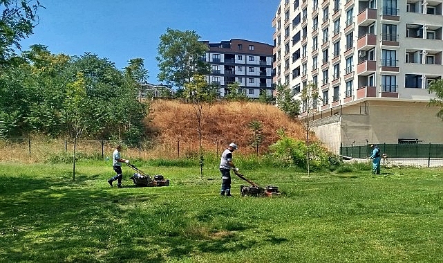 Büyükşehir Belediyesi, Gebze’de 550 bin metrekarelik alanı kapsayan Tatlıkuyu Vadisi