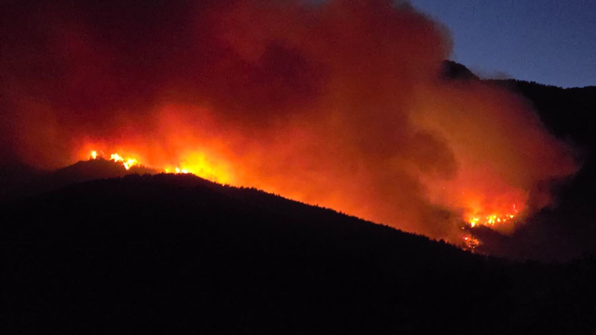 Hatay’ın Hassa ilçesinde Bademli ve Eğribucak mahalleri arasındaki ormanlık alanda
