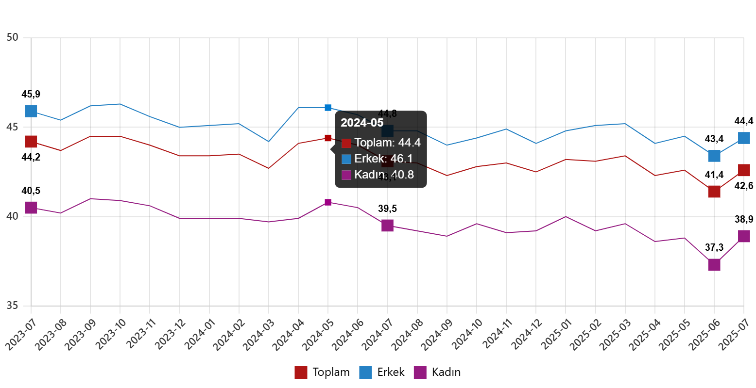 isgucu-istatistikleri-temmuz-2025