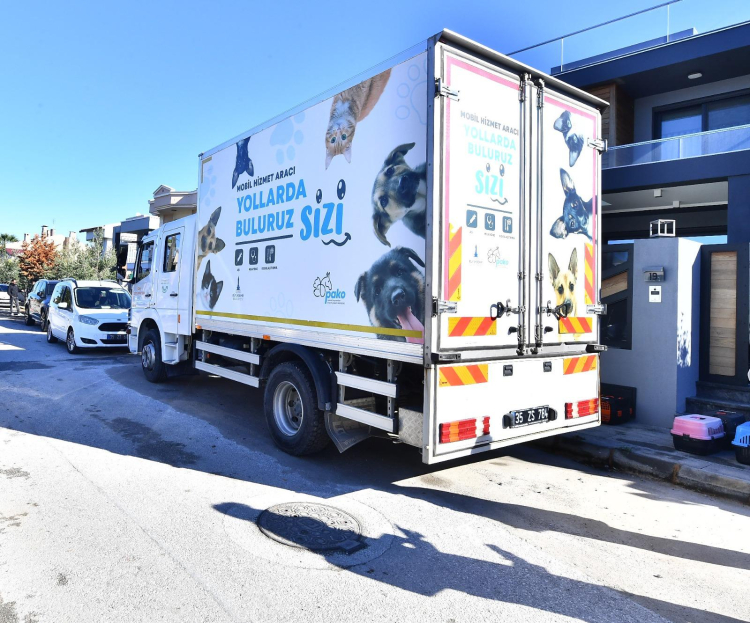 izmirde-7-bin-kedi-mobil-kisirlastirmayla-kontrol-altinda