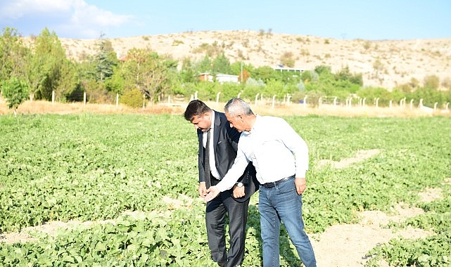 Kendine has aroması, benzersiz dokusu ve uzun ömürlü yapısıyla yıllardır