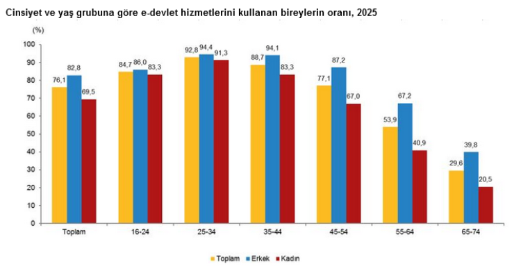 edevlet-ve-eticaret-hizla-buyuyor