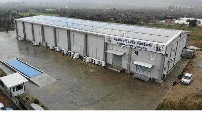 Aydın’ın üretiminde ve ihracatında dünya lideri olduğu kuru incirde görülen