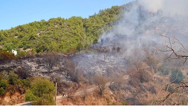 Antalya Büyükşehir Belediyesi Başkan Vekili Büşra Özdemir, Alanya’da çıkan orman